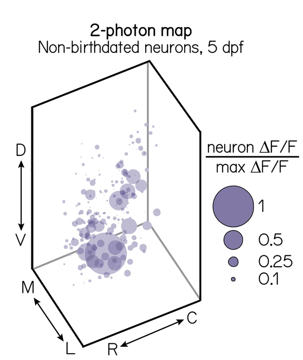 Open access visualization of 3D Plot, Soma Position, Impulse Response, Calcium Signal Strength