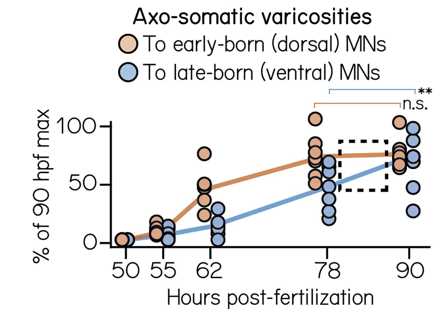 Open access visualization of Line Plot, Scatter Plot, Varicosity Growth, Ocular Motor Neurons