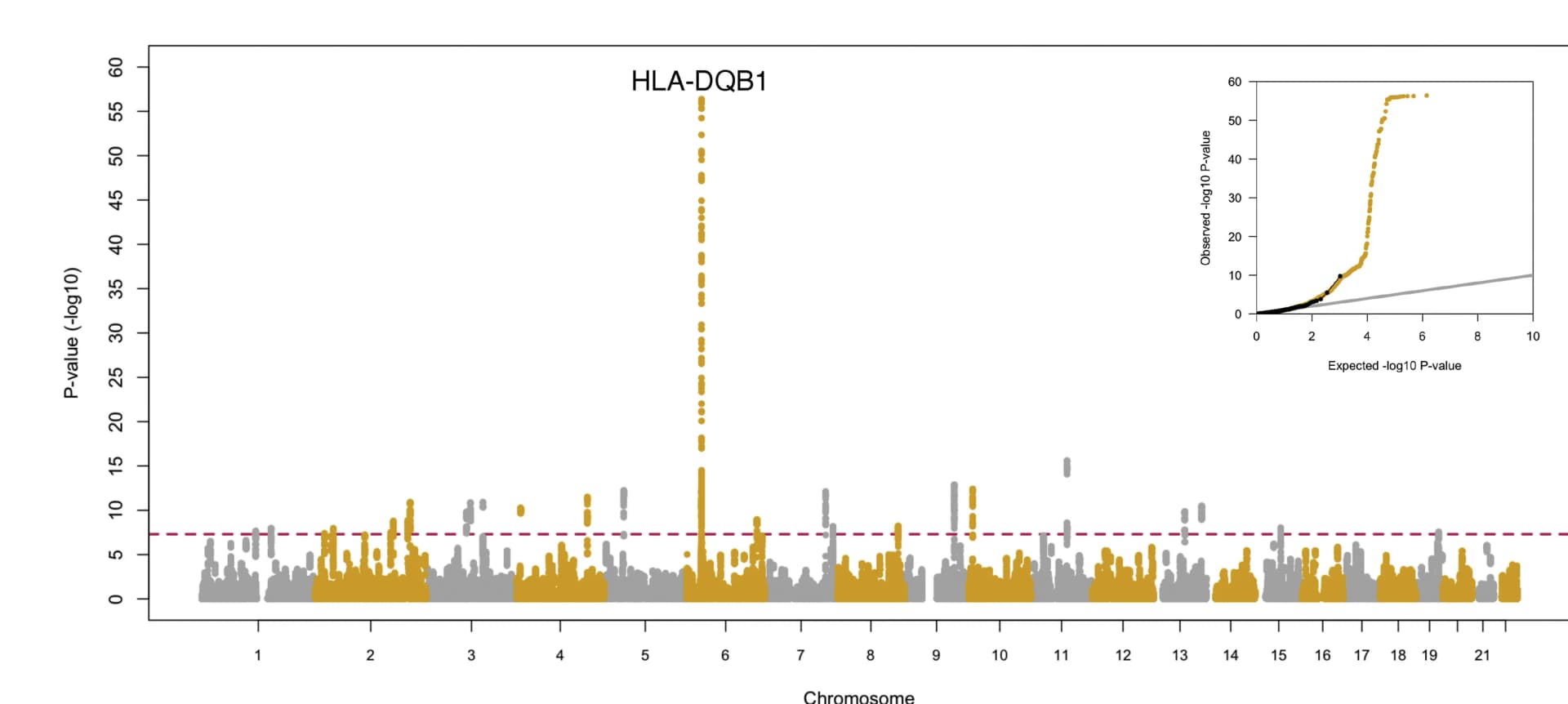 Open access visualization of Manhattan Plot, QQ Plot, P-values, Genome, Admixed Allele Frequencies