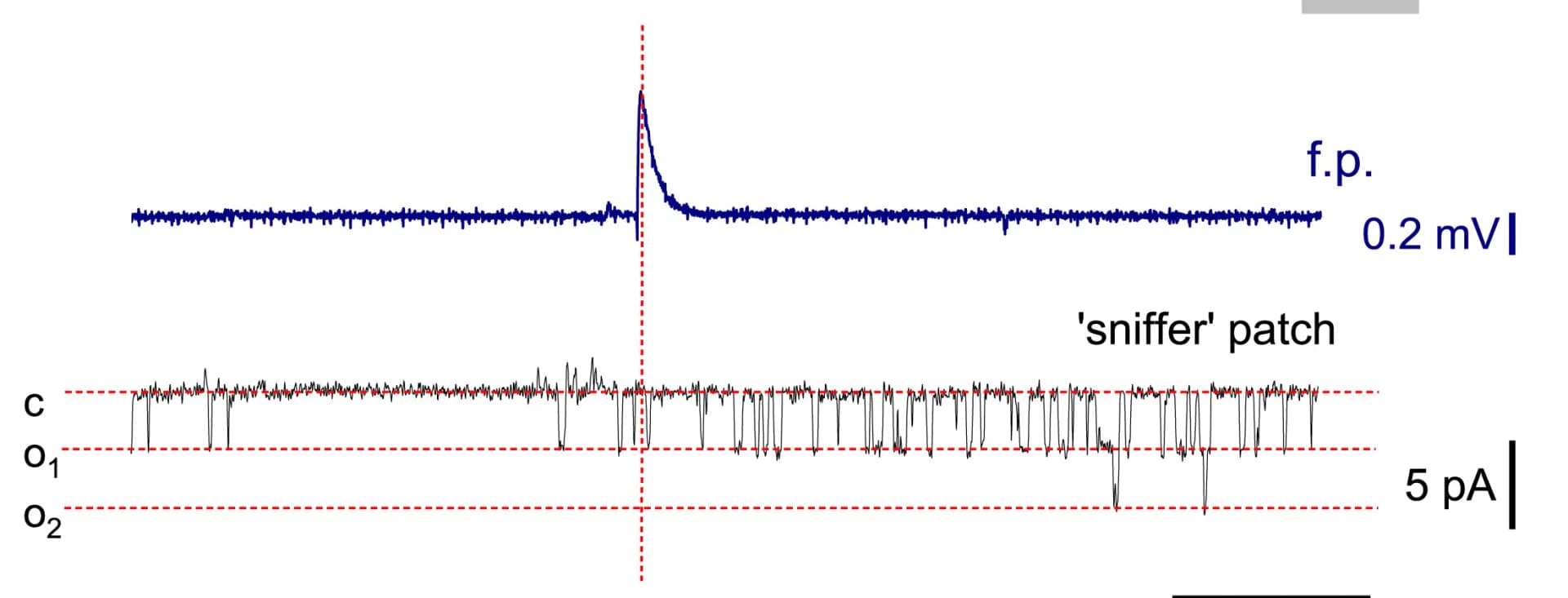 Open access visualization of Line Plot, Local Field Potential, Patch Recording, Pipette Solution, GABAAR-mediated Channel Openings