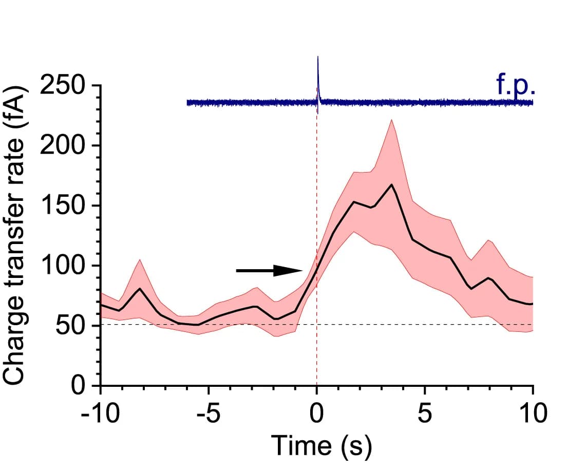 Open access visualization of Line Plot, Error Bars, Charge Transfer Rate, Field Potential, Interictal Discharge