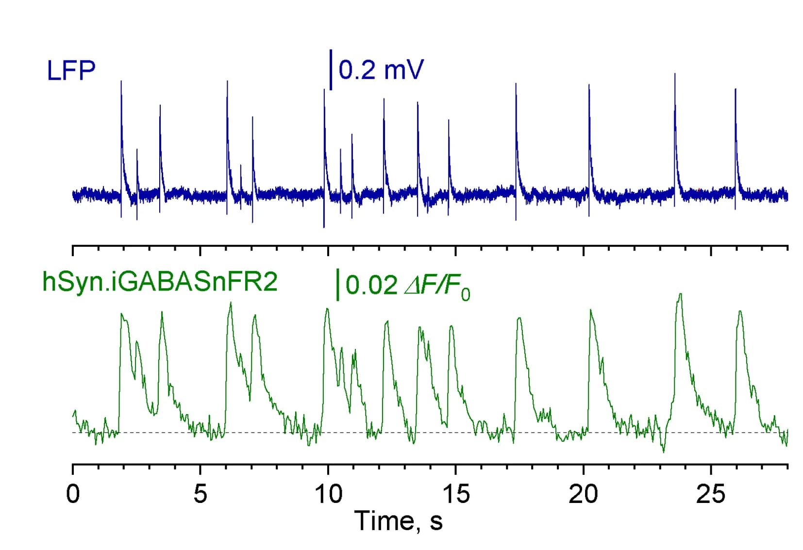 Open access visualization of Line Plot, fEPSPs, iGABASnFR2 Signal, Interictal Spikes, GABA