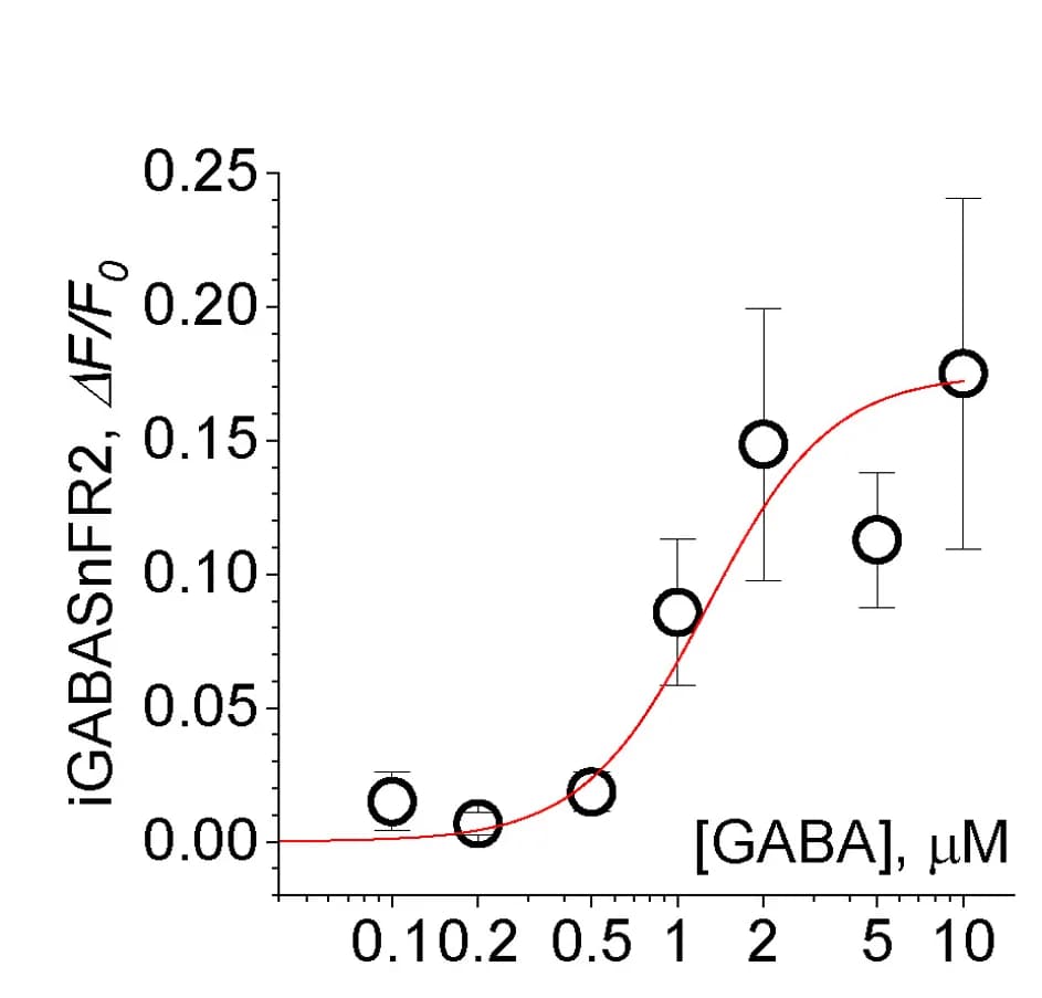 Open access visualization of Scatter Plot, Line Plot, Error Bars, iGABASnFR2 Fluorescence, GABA