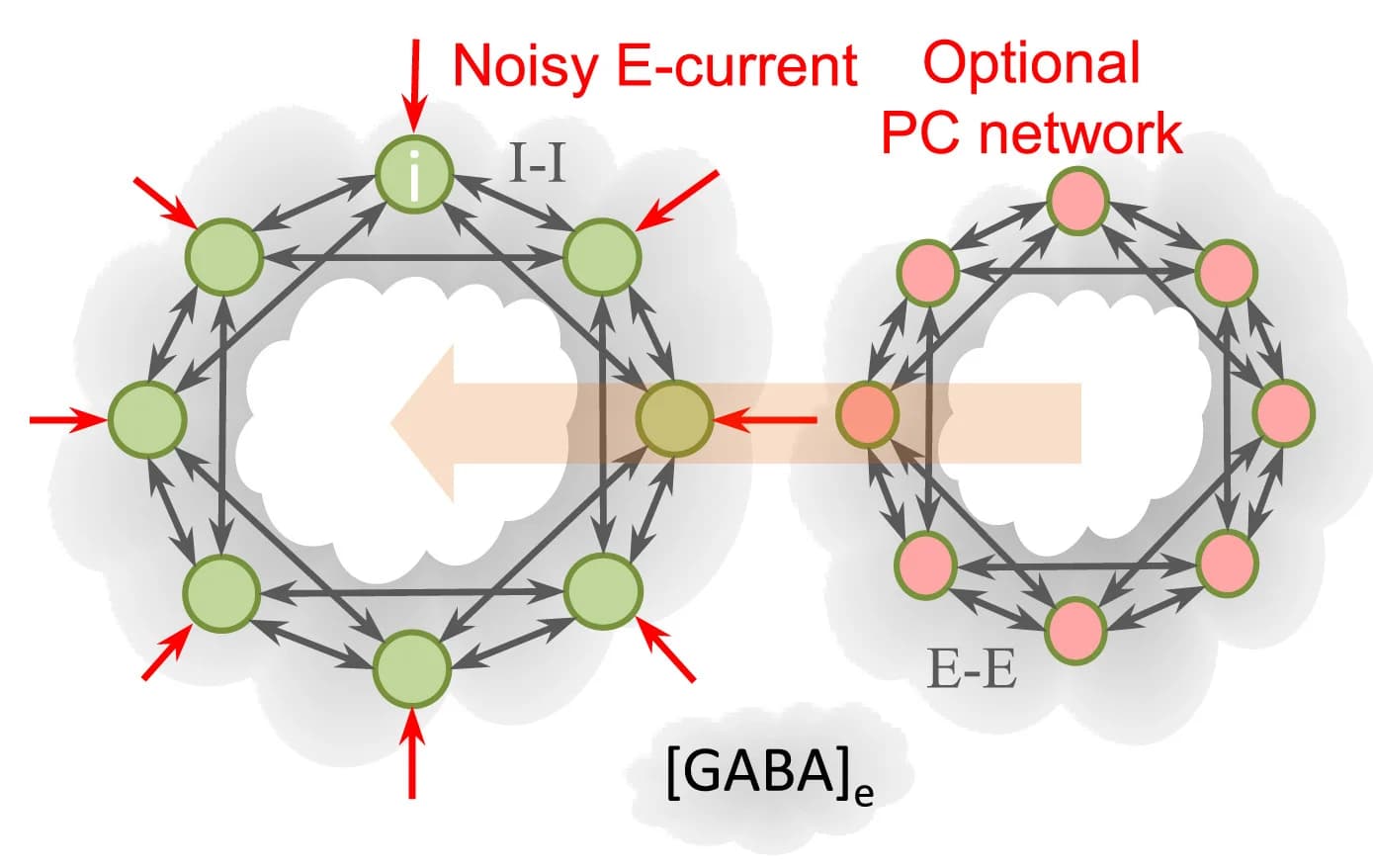 Open access visualization of Network, Pathway, FS Interneuron Network Model, GABAergic Synaptic Connections, Excitatory Inputs