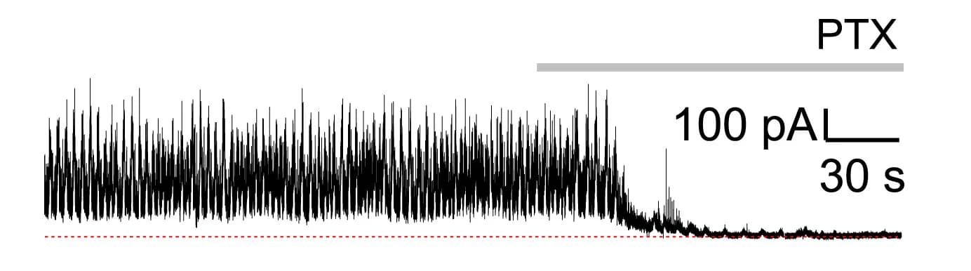 Open access visualization of Line Plot, Wave-like Oscillations, GABAAR Antagonist, Picrotoxin