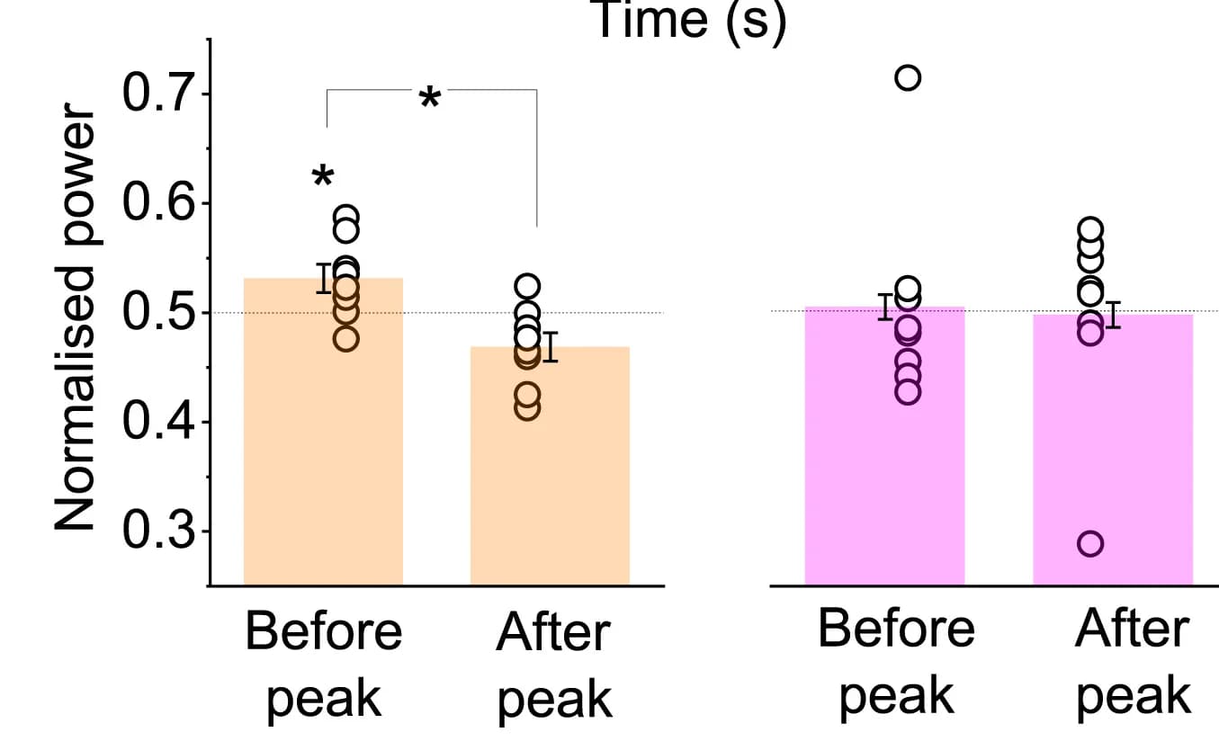 Open access visualization of Bar Plot, Error Bars, Scatter Plot, Analysis, Bar Graphs