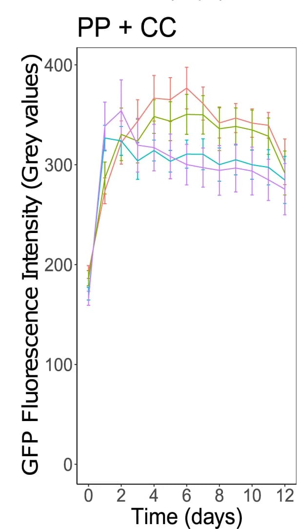 Open access visualization of Line Plot, Error Bars, Fungal Biomass, Bacterial Biomass