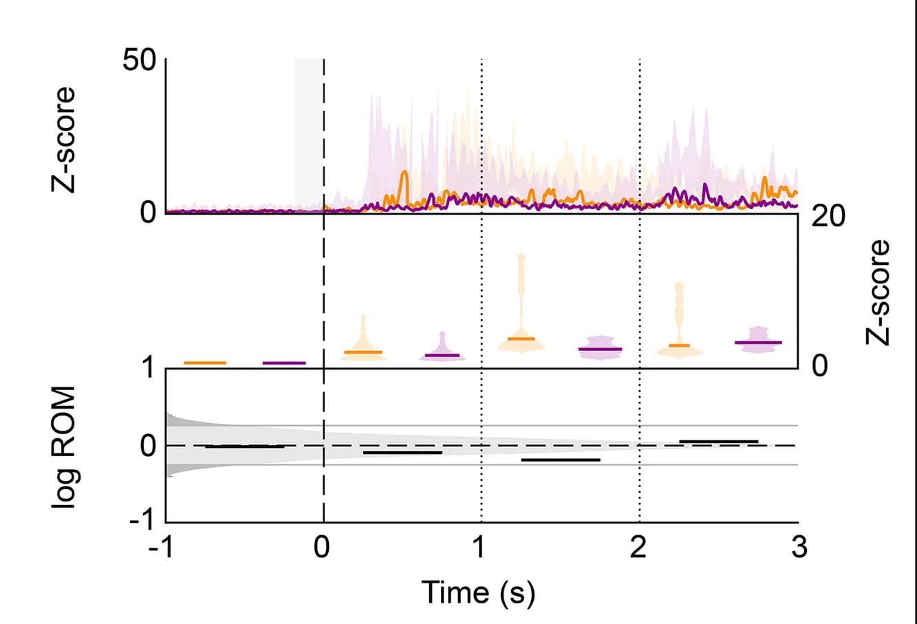 Open access visualization of Line Plot, Violin Plot, Error Bars, Flexion Withdrawal Reflex, Biceps Femoris