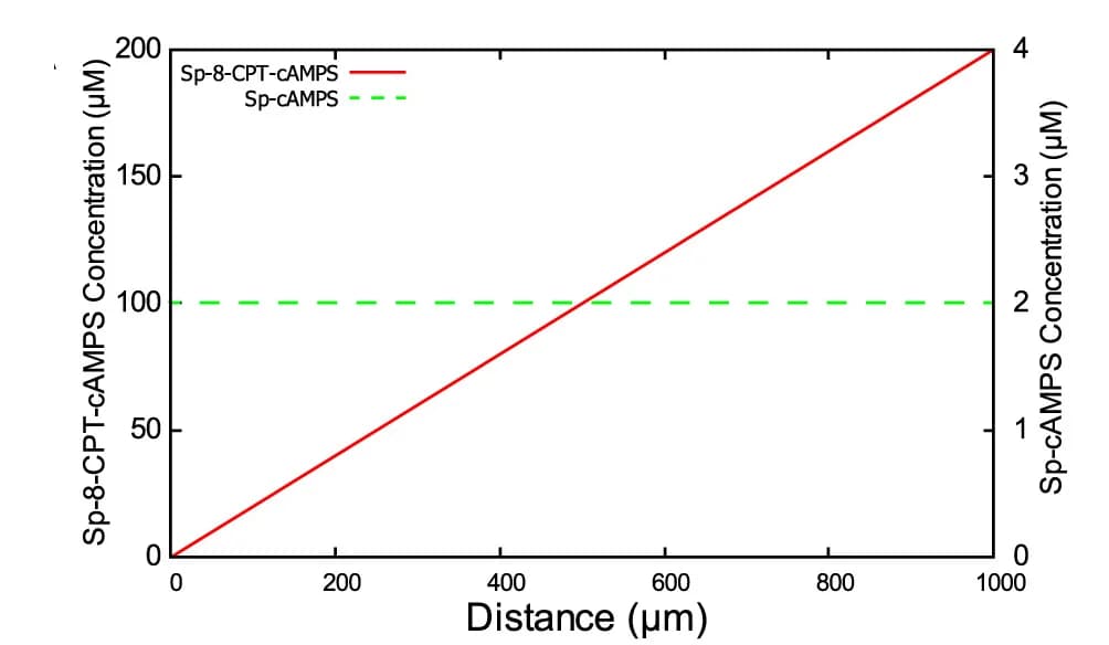 Open access visualization of Line Plot, Concentration, Non-degradable antagonist, Agonist