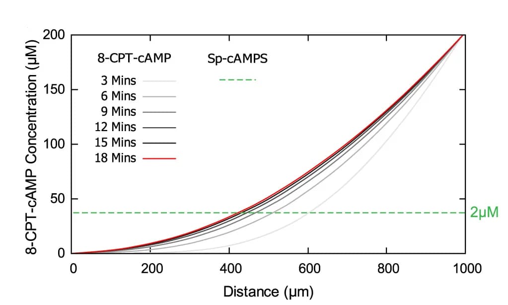 Open access visualization of Line Plot, Line Step, Simulation, Degradable Antagonist, Gradient