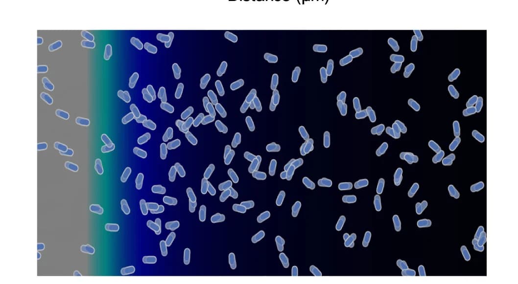 Open access visualization of Scatter Plot, Modeled Chemotaxis, Antagonist, Repellent Guidance