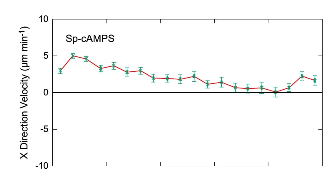 Open access visualization of Line Plot, Error Bars, Rightward Velocity, Quantitative Analysis, Technical Replicates