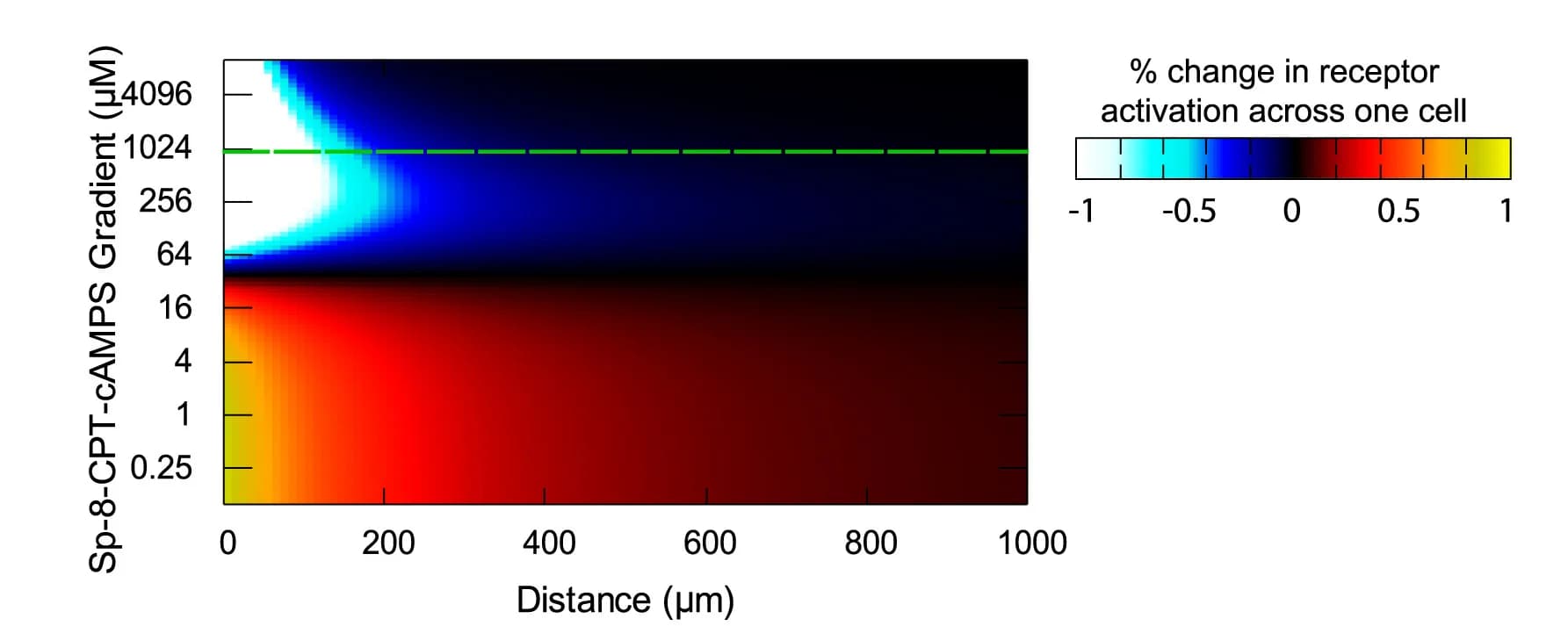Open access visualization of Heatmap, Activated Receptors, Antagonist Gradient, Agonist Gradient