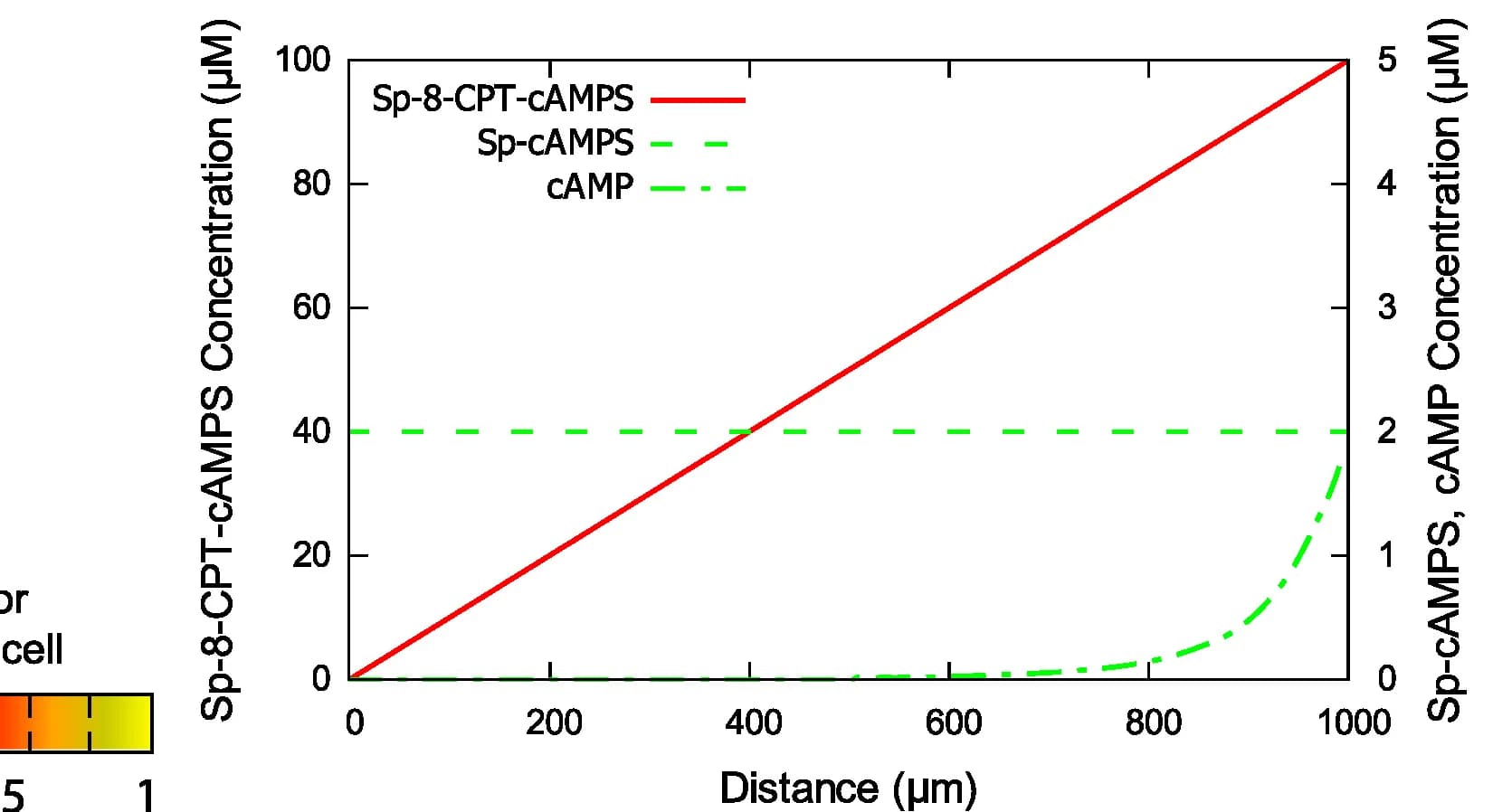 Open access visualization of Line Plot, Sp-8-CPT-cAMPS, cAMP gradient, receptor activation