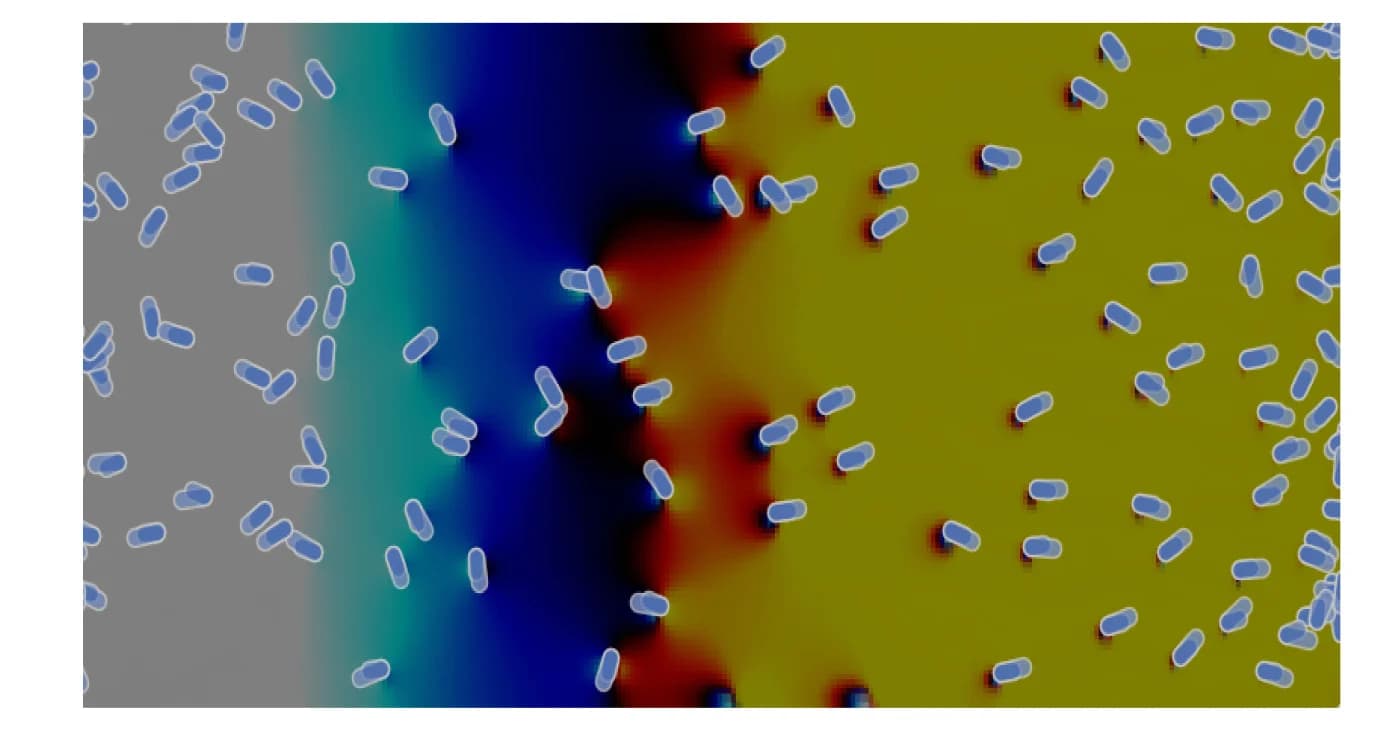 Open access visualization of Heatmap, Scatter Plot, Modeled Chemotaxis, Receptor Activity