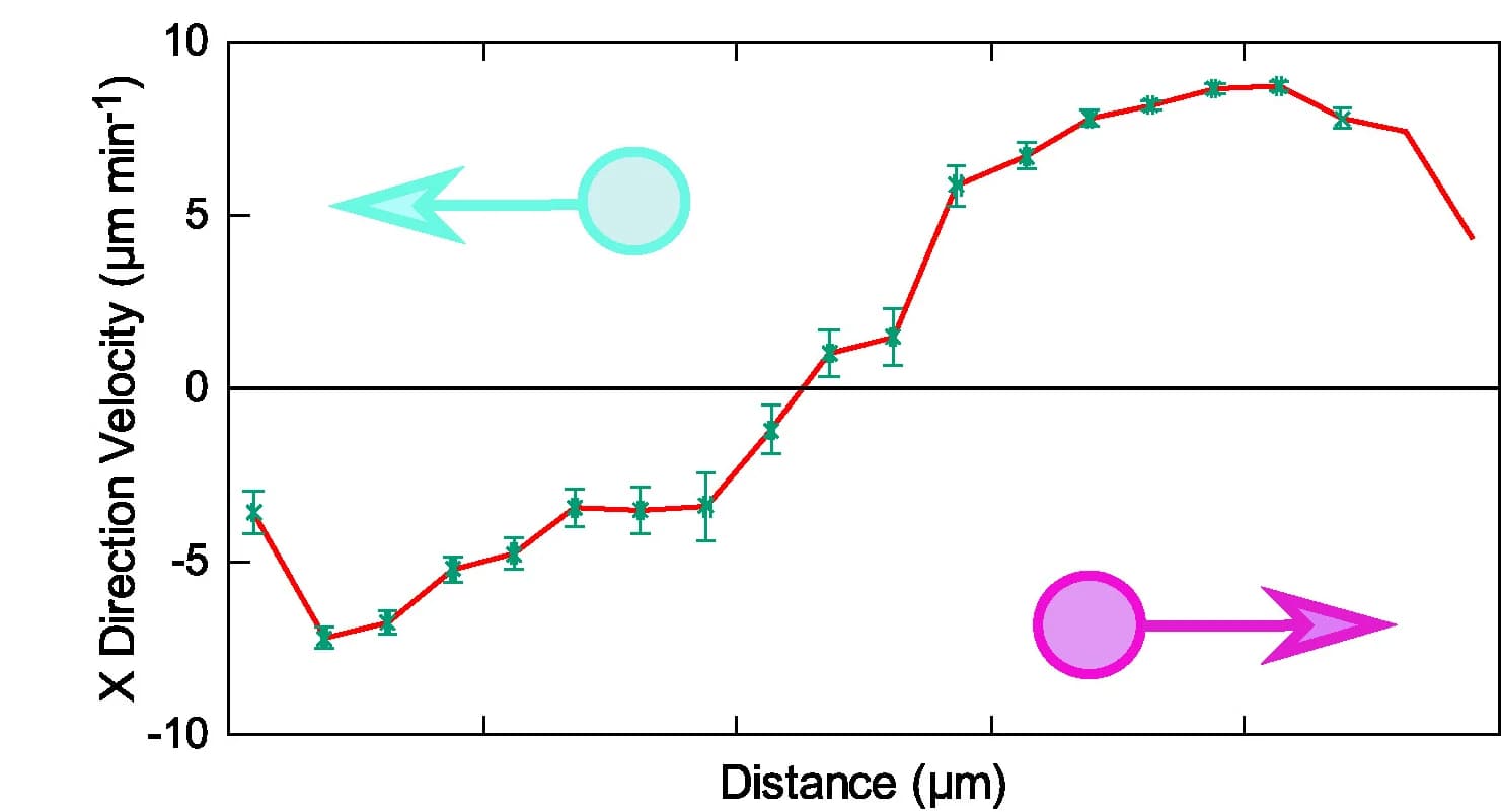 Open access visualization of Line Plot, Error Bars, Velocity, Technical Repeats, Simulations
