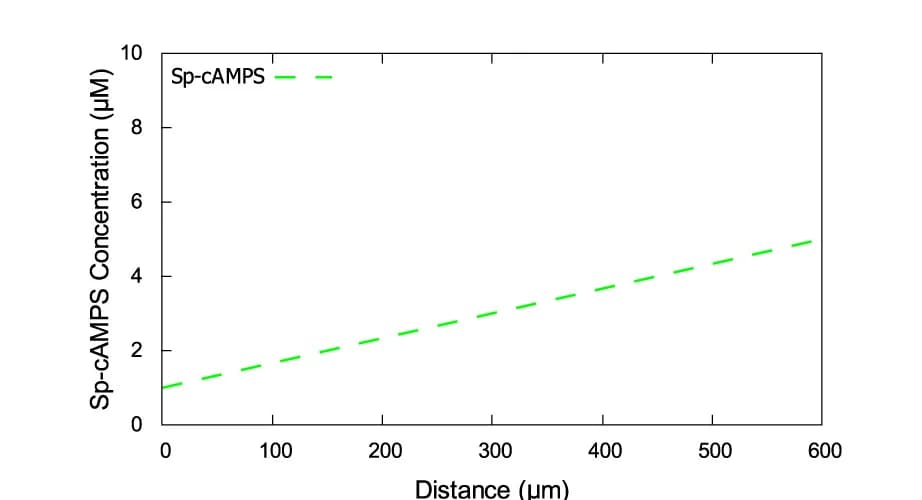 Open access visualization of Line Plot, Agonist, Sp-cAMPS, Gradient