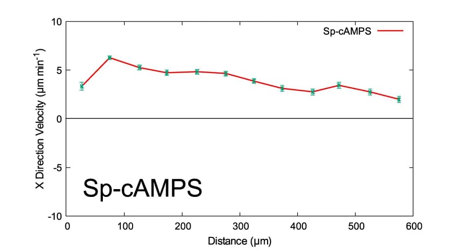 Open access visualization of Line Plot, Error Bars, Rightward Velocity, Quantification