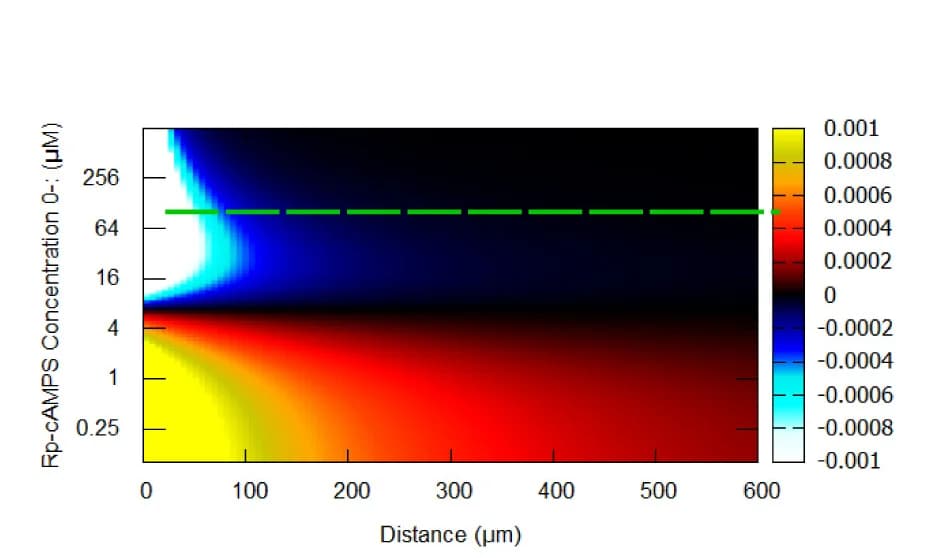 Open access visualization of Heatmap, Receptor Activity, Partial Agonist, Gradient, Agonist