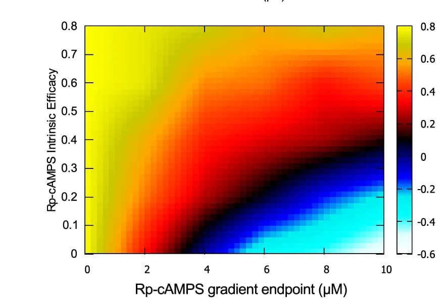 Open access visualization of Heatmap, Simulated Cells, Positive Chemotaxis, Negative Chemotaxis, Agonist