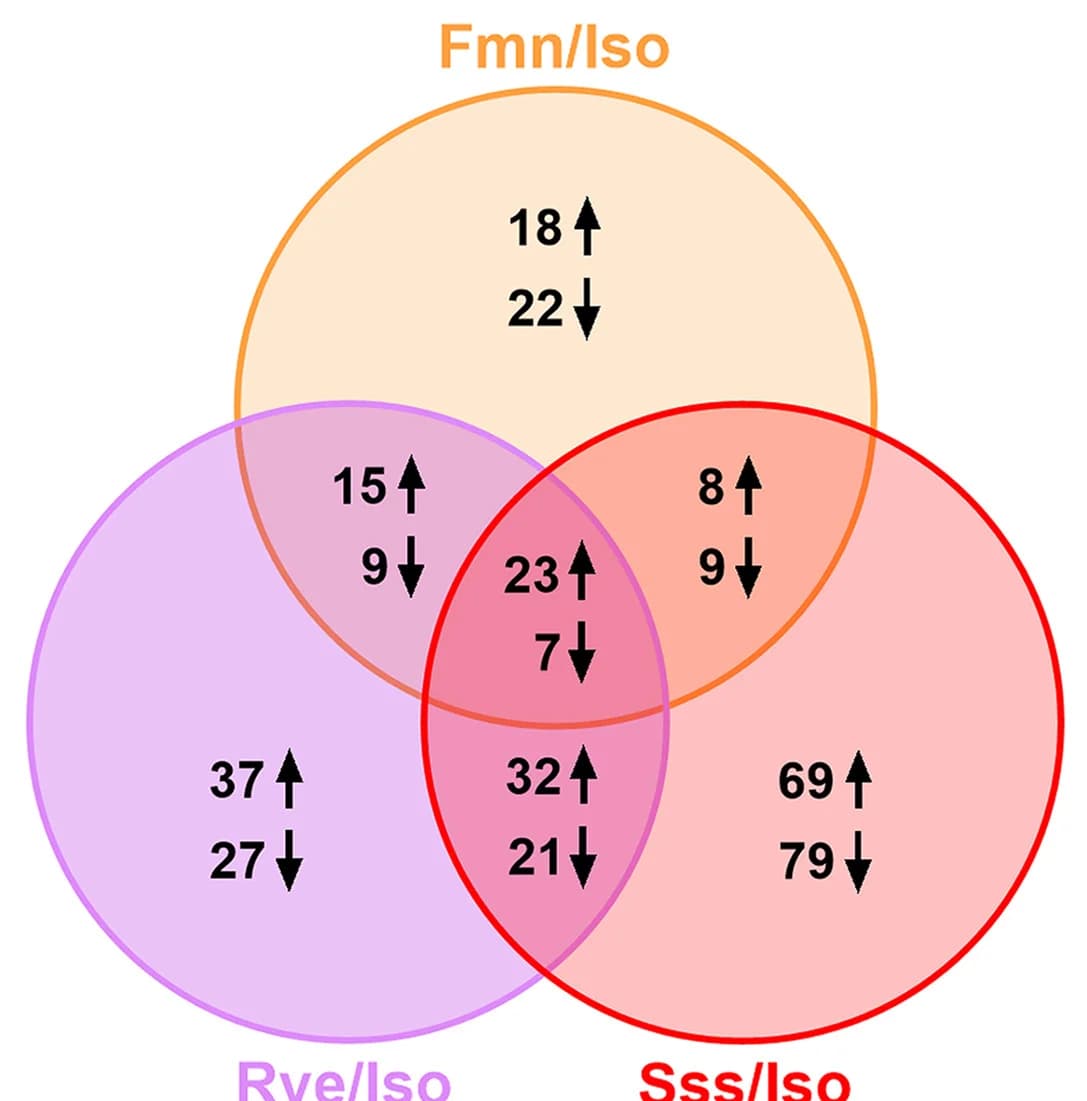 Open access visualization of Venn Diagram, Metabolites, Sleep Mutants, Control