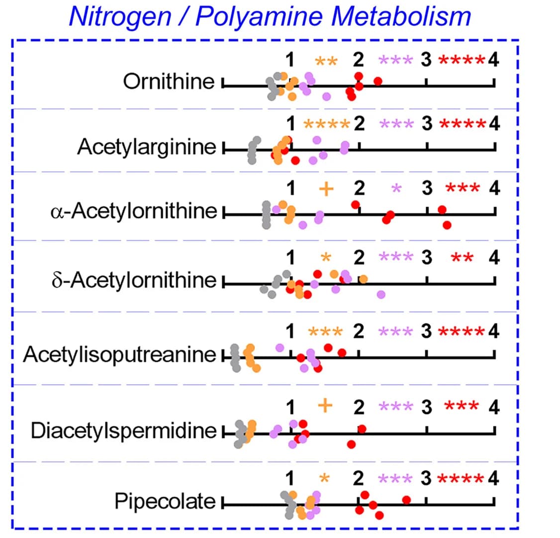 Open access visualization of Scatter Plot, Line Graphs, Metabolite Levels, Nitrogen Metabolism, Lysate