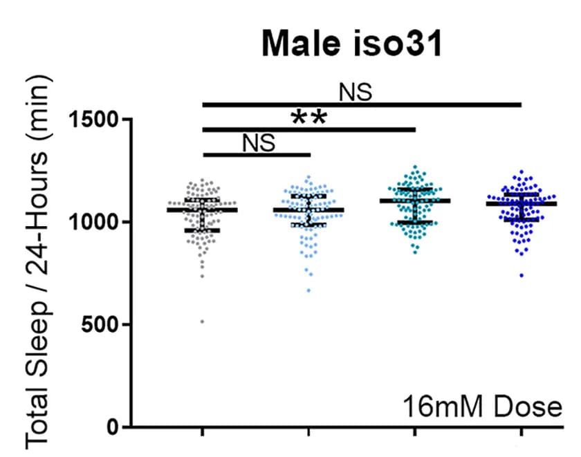 Open access visualization of Scatter Plot, Error Bars, Multi-Beam Total Sleep, Female Flies, Male Flies