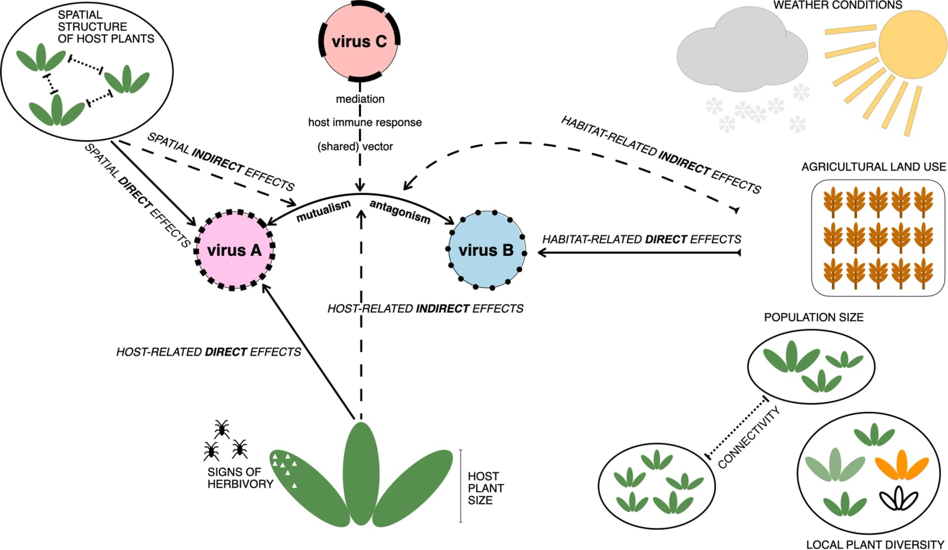 Open access visualization of Workflow, Illustration, Plant Populations, Viruses, Virus Associations