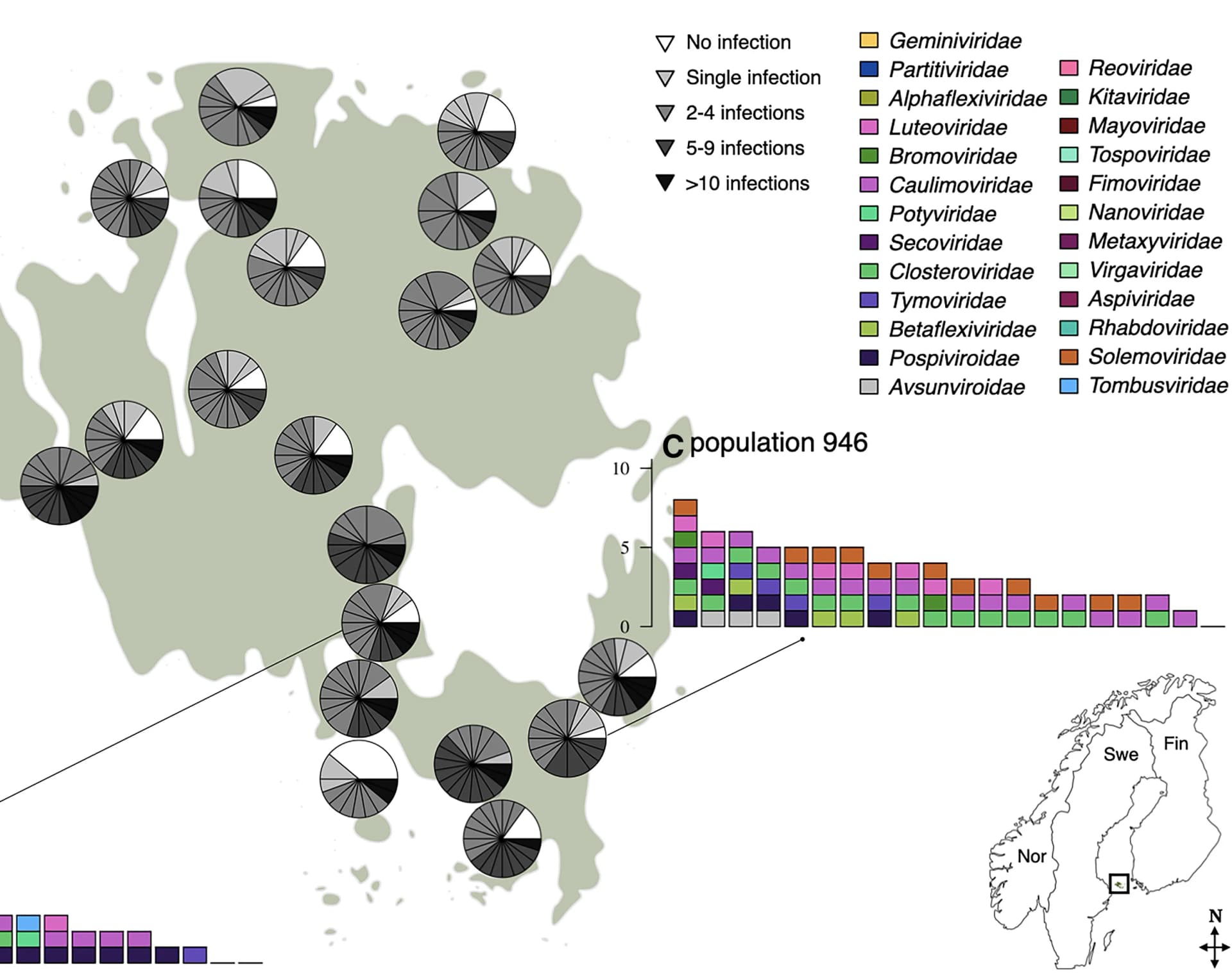 Open access visualization of Geo Map, Pie Chart, Bar Plot, Stacked Bar Plot, Virus Community