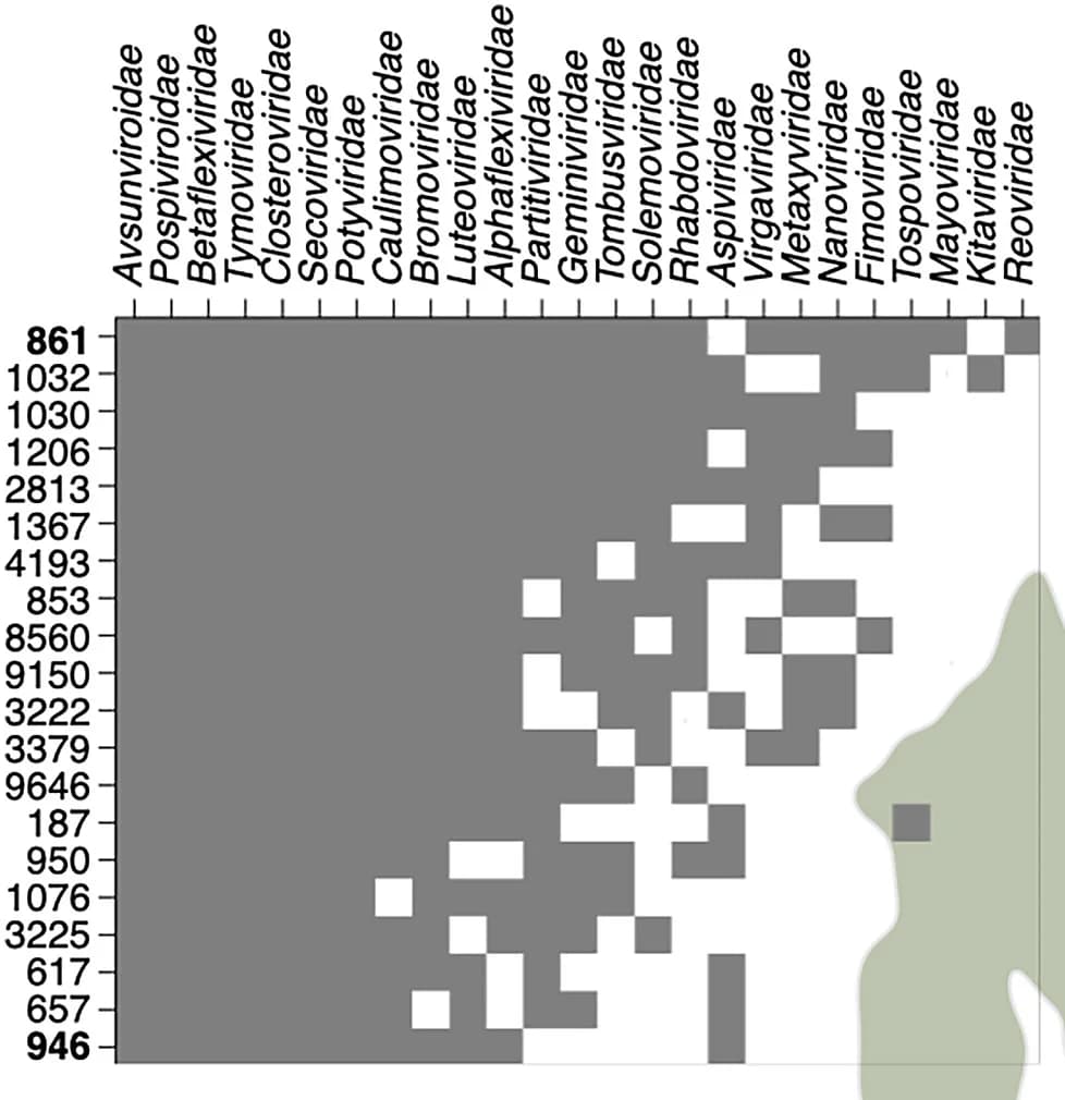 Open access visualization of Heatmap, Virus Community, Host Population, Nested Structure