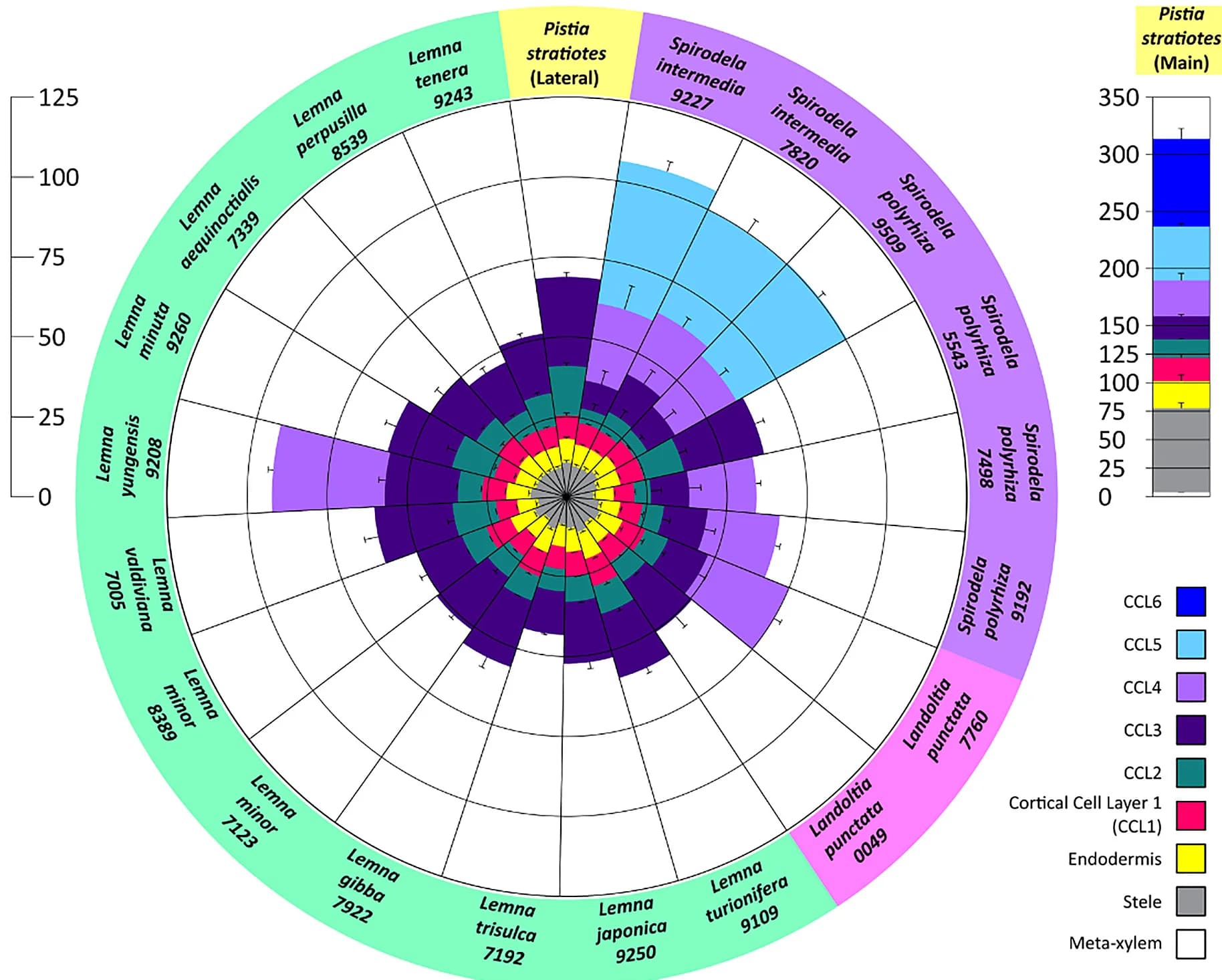 Open access visualization of Bar Plot, Error Bars, Rose Diagram, Root Diameter, Cell Layer
