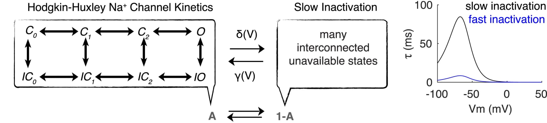 Open access visualization of Line Plot, Workflow, Sodium Channel, Slow Inactivation, Time Constant