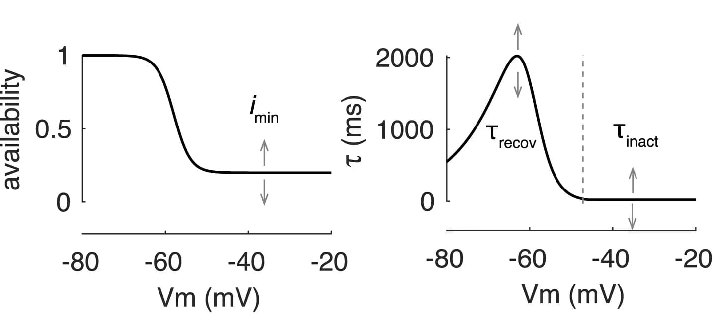 Open access visualization of Line Plot, Steady-state inactivation, Time constants, Igate