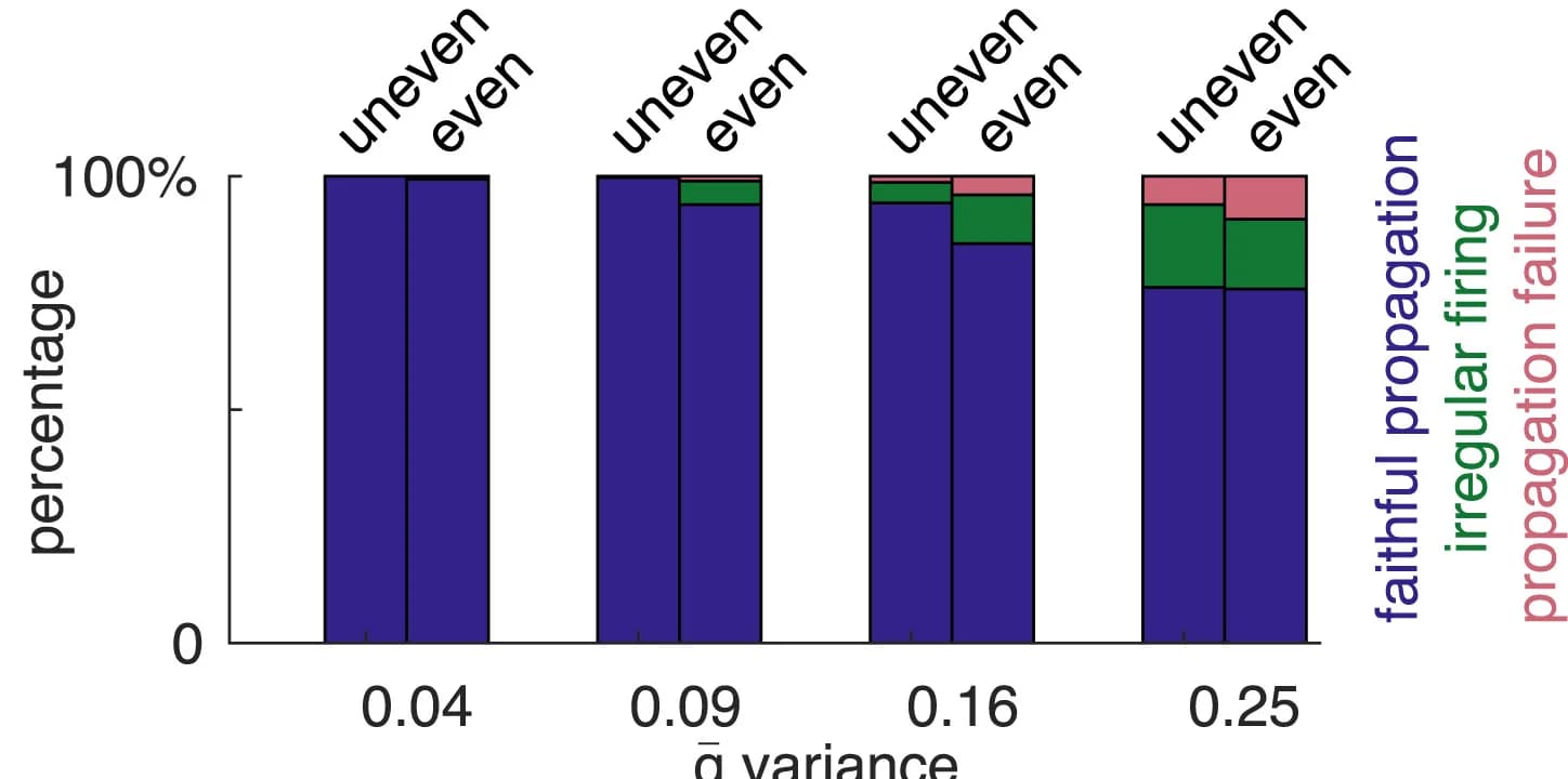 Open access visualization of Stacked Bar Plot, Propagation Patterns, Axon Models, Conductance Density, Inactivation Gate