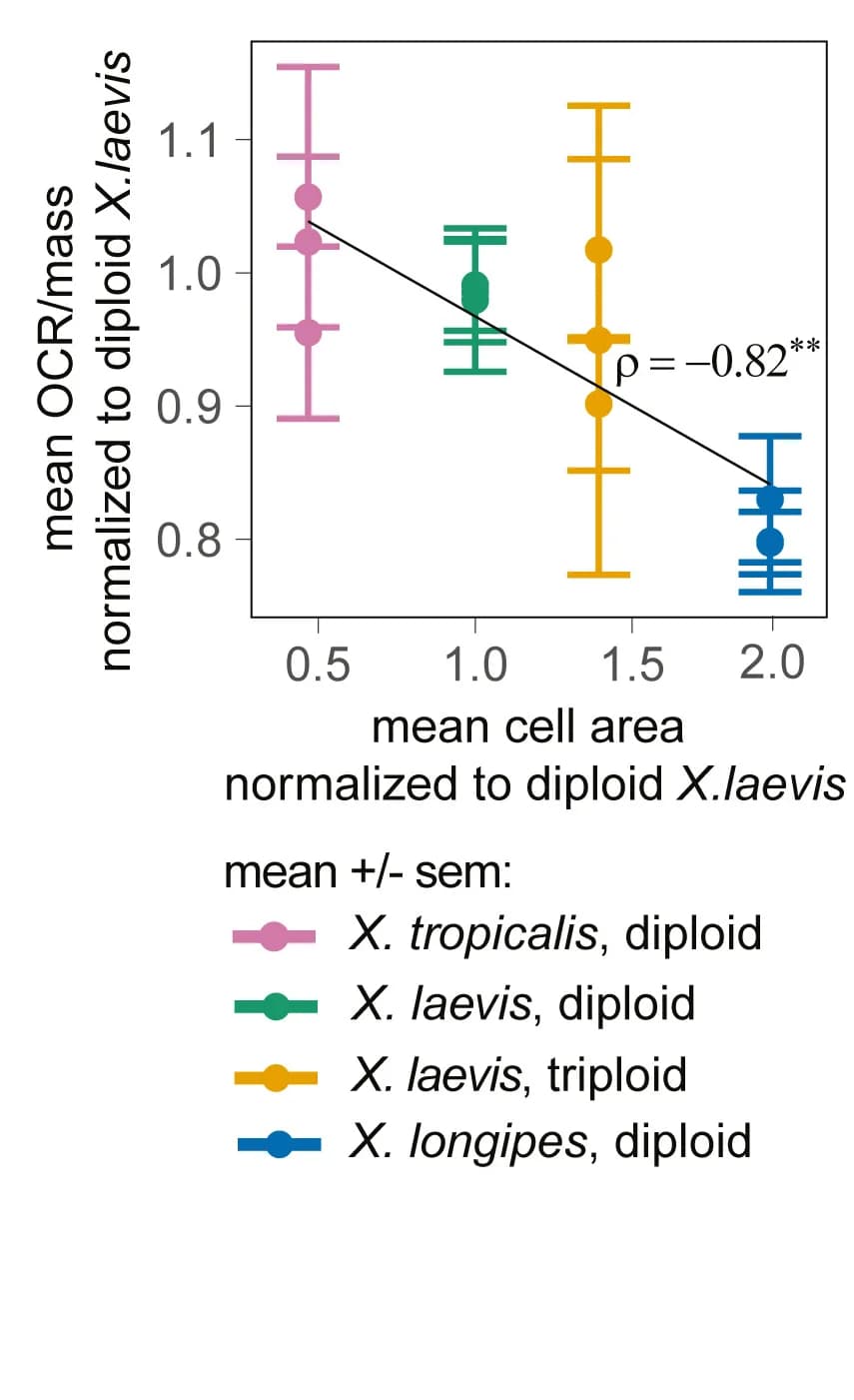 Open access visualization of Scatter Plot, Error Bars, Regression Plot, OCR, Stage 48