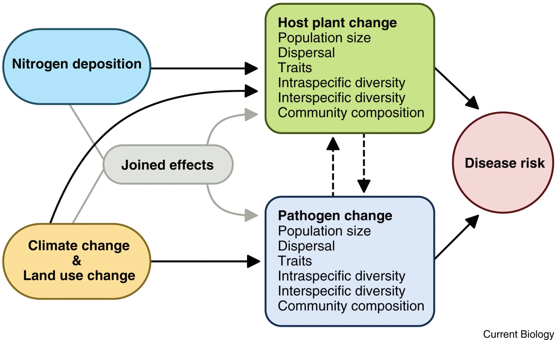 Open access visualization of Workflow, Flowchart, Illustration, Global Change Drivers, Plant Ecology