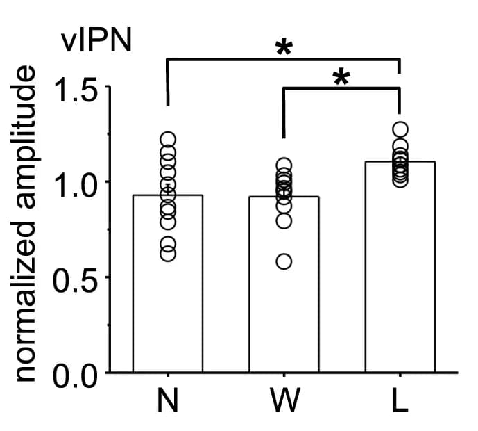 Open access visualization of Bar Plot, Error Bars, Normalized Peak Responses, vIPN, Naive