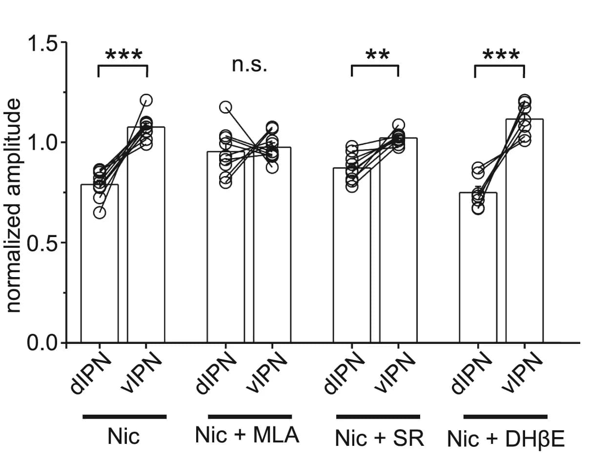 Open access visualization of Bar Plot, Scatter Plot, dIPN, vIPN, Nicotine