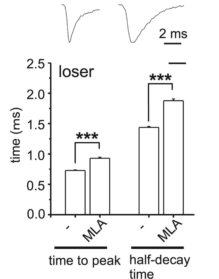 Open access visualization of Bar Plot, Error Bars, Time to Peak, Half-decay Time, AMPAR-mEPSCs