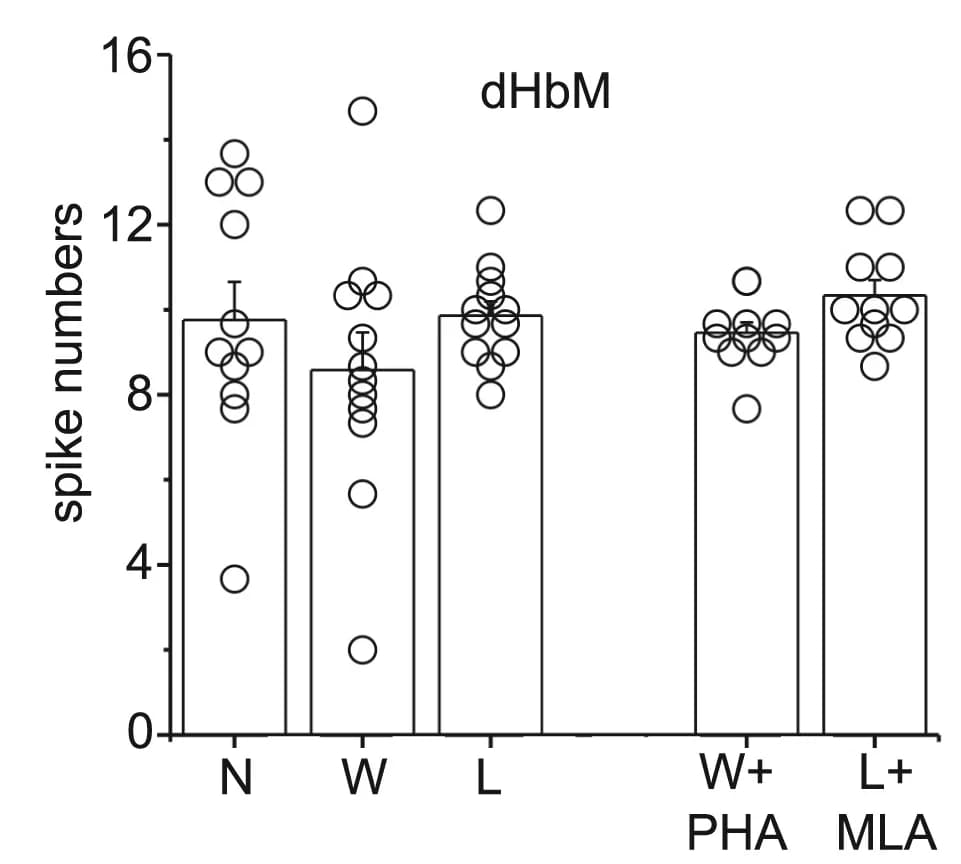 Open access visualization of Bar Plot, Scatter Plot, Error Bars, Recorded Spikes, dHbM Neurons