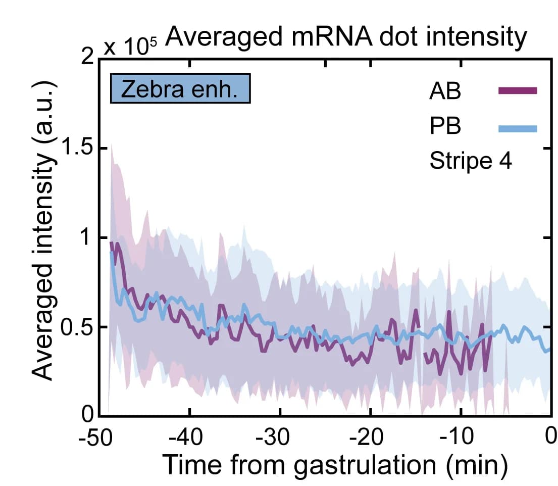Open access visualization of Line Plot, Error Bars, mRNA, Nucleus, Transcription