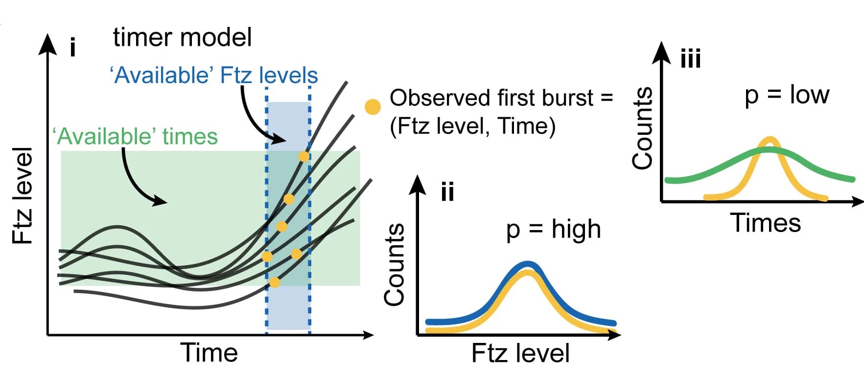 Open access visualization of Line Plot, Density Plot, Scatter Plot, Timer Model, Transcription