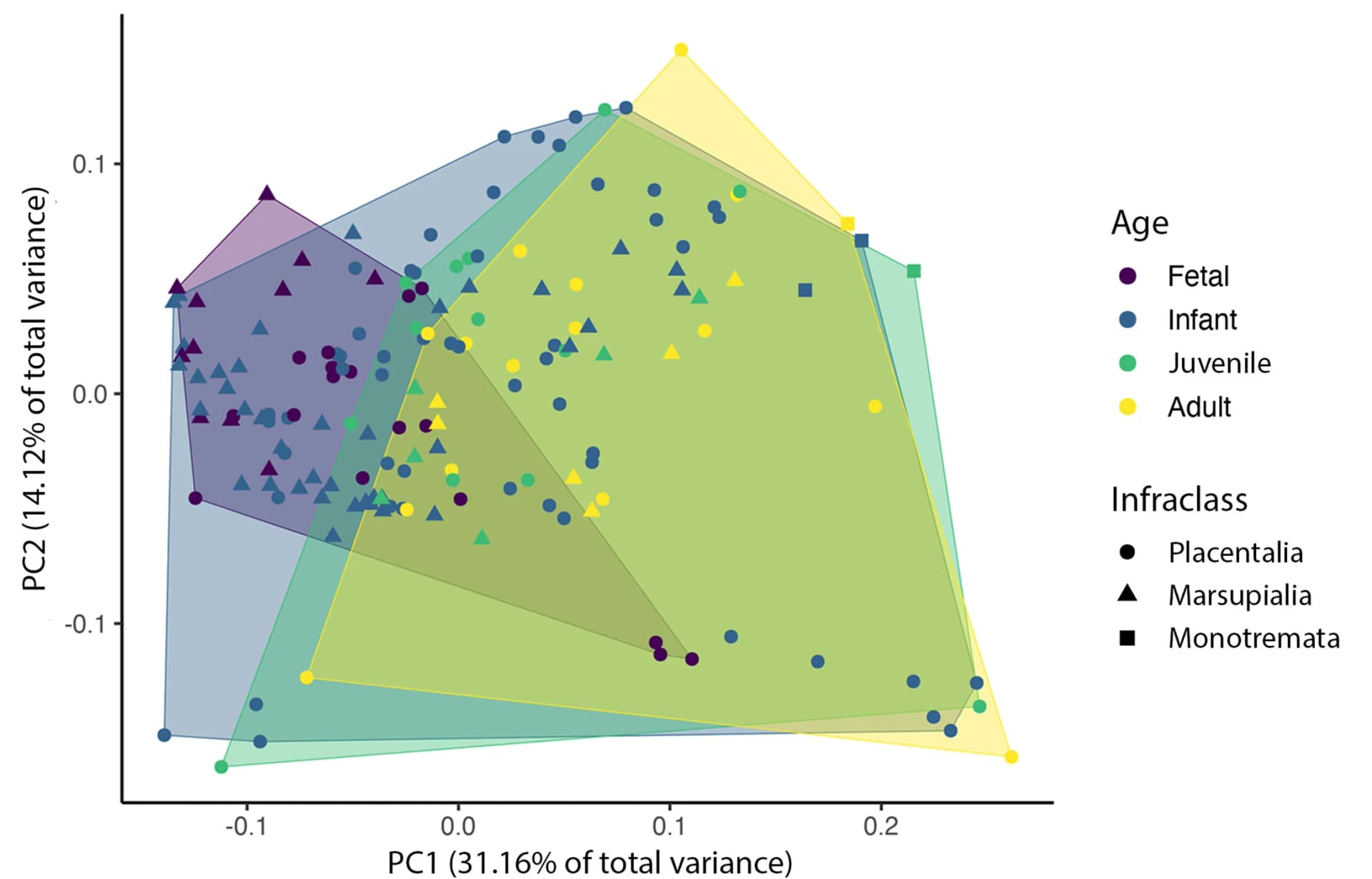 Open access visualization of Scatter Plot, PCA, Principal-Component Analysis, Cranial Landmarks, Developmental Dataset