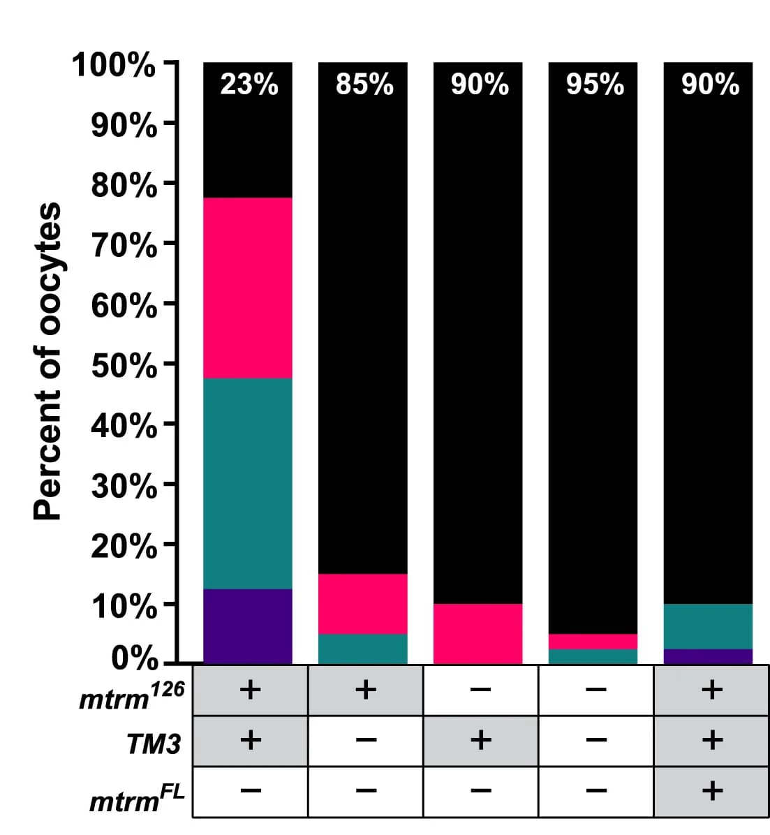 Open access visualization of Stacked Bar Plot, Stacked Bar Chart, Oocytes, Chromosome Arrangement, Transgene