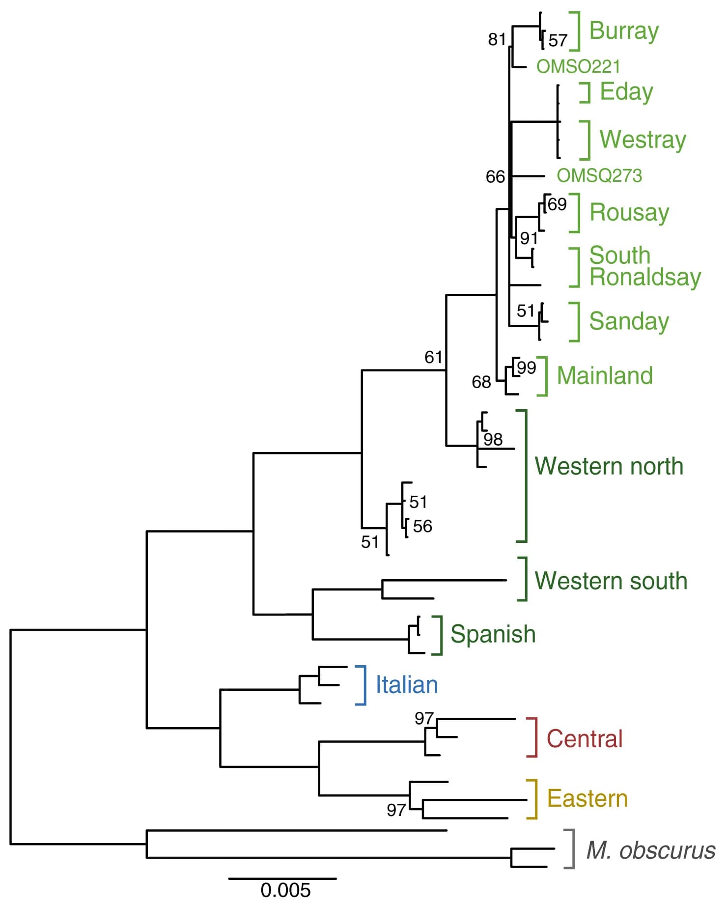 Open access visualization of Network, Pathway, Bayesian Phylogeny, Mitochondrial Genomes, Voles
