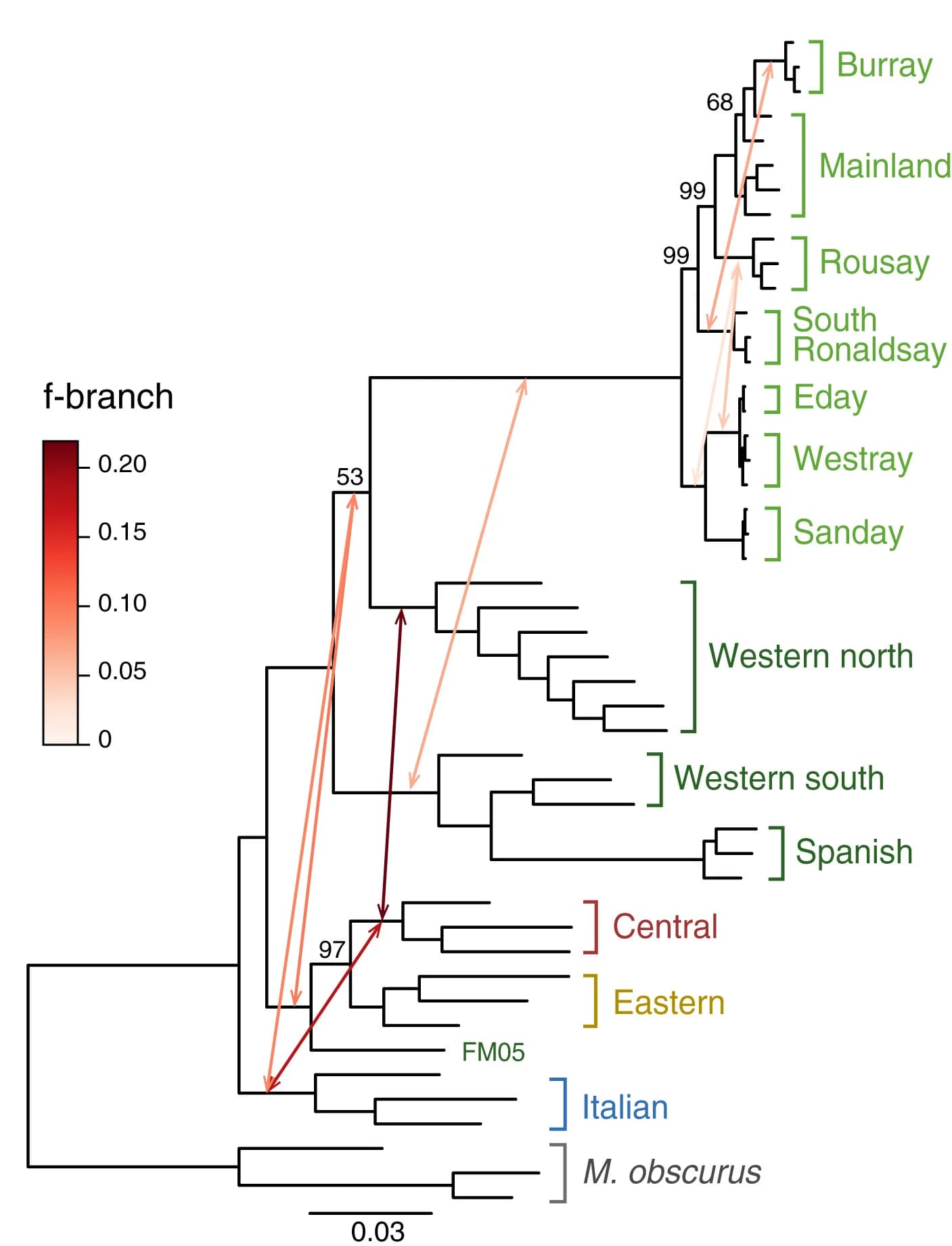 Open access visualization of Network, Pathway, ML Tree, IQ-TREE, Single-Nucleotide Polymorphism