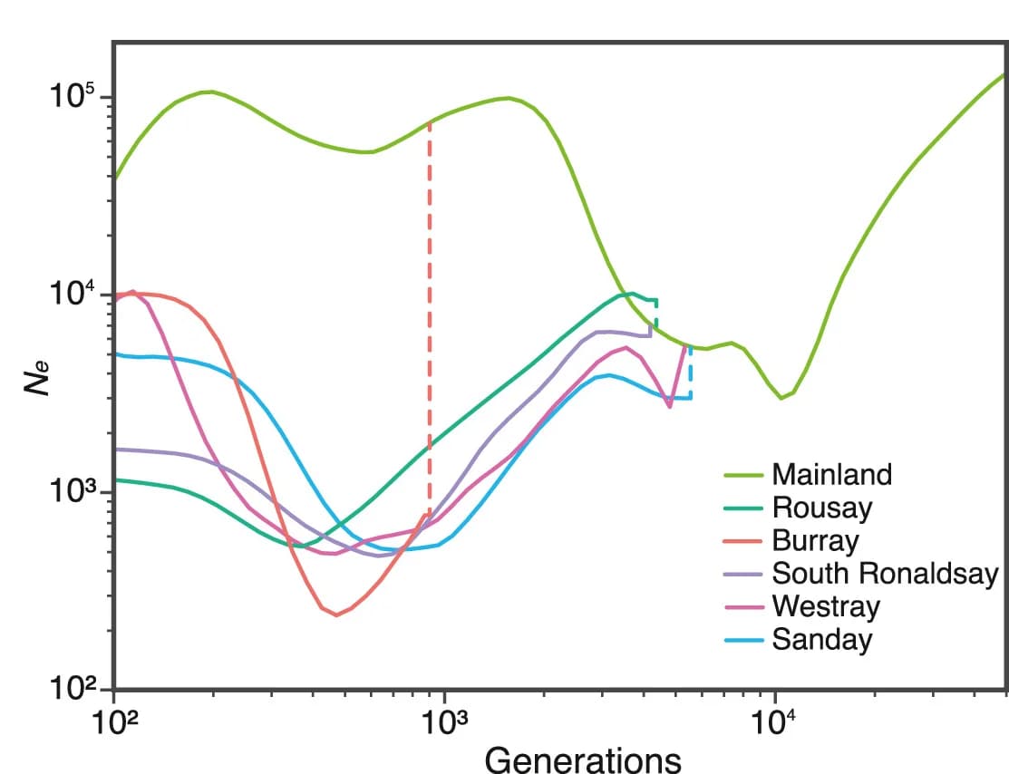 Open access visualization of Line Plot, Demographic history, Voles, Orkney Islands, Eday population