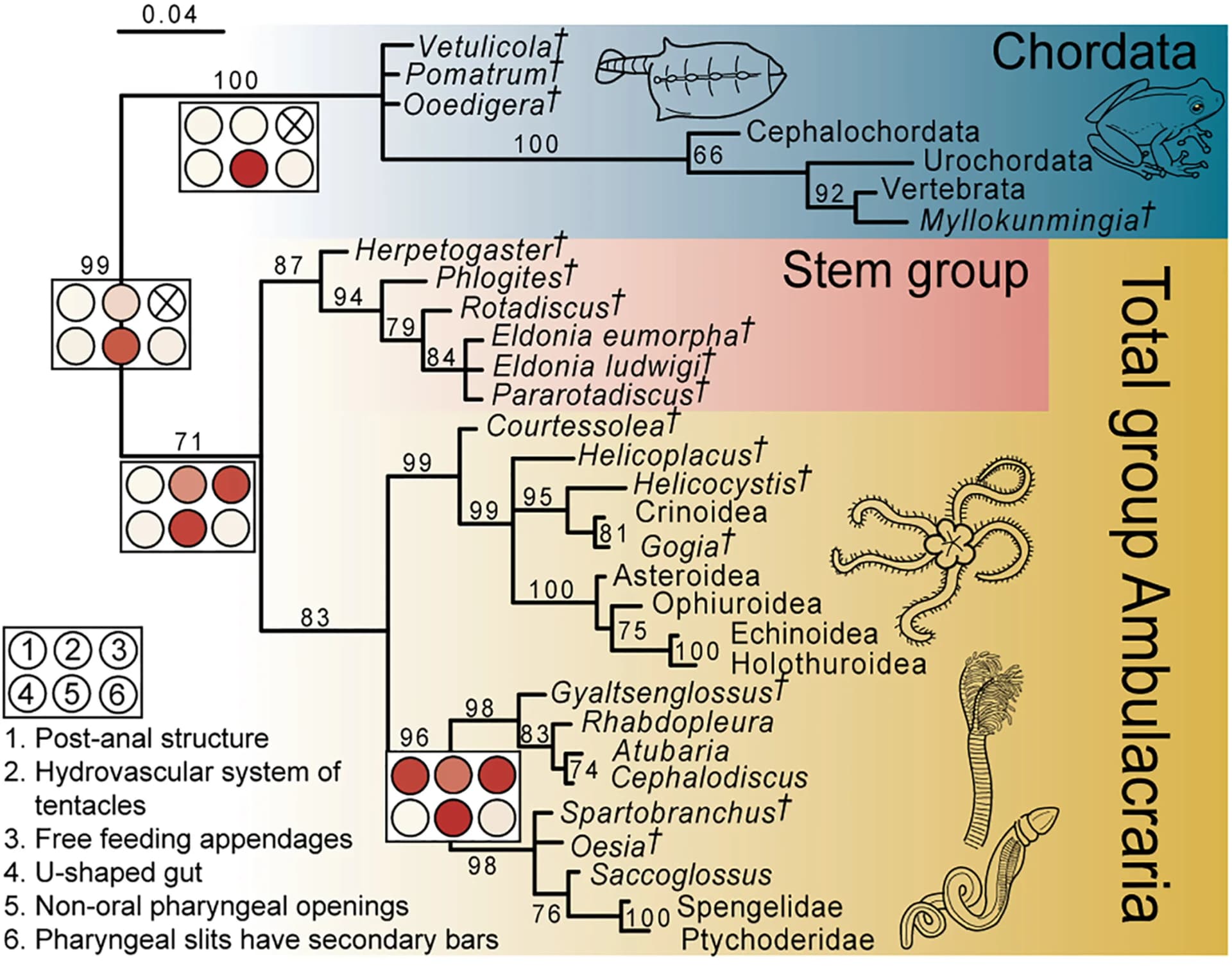 Open access visualization of Line Plot, Bayesian phylogenetic analyses, Ancestral state reconstructions, Fossil taxa