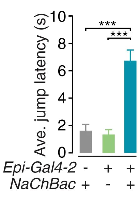 Open access visualization of Bar Plot, Error Bars, Jump Latency, Hot Plate