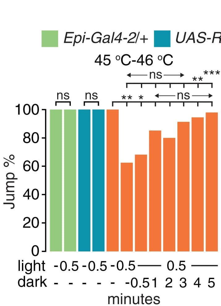 Open access visualization of Bar Plot, Error Bars, Jump Percentage, Jump Latency, Flies